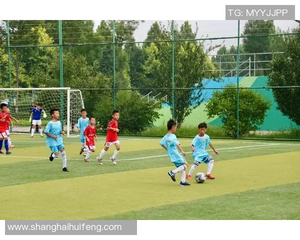 足球小将球星传记:从绿茵场到辉煌巅峰的成长之路 足球小将球星传记:从绿茵场到辉煌巅峰的成长之路