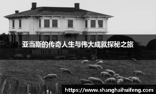 龙8国际