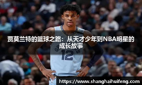 龙8国际
