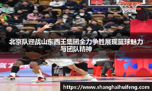 龙8国际官网