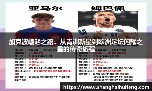 龙8国际网站